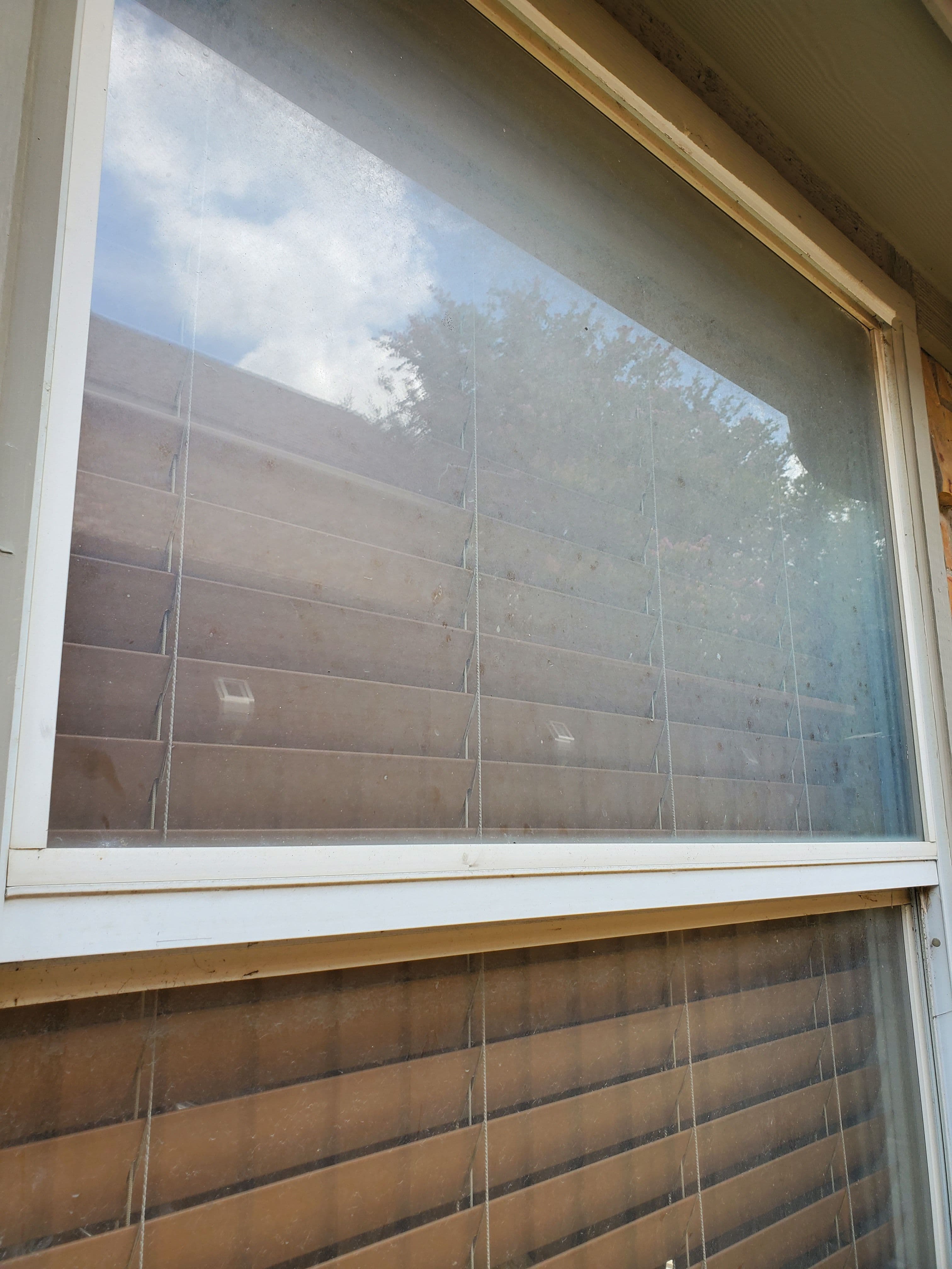 Dirty window with blinds partially drawn, showing a cloudy sky and perspective of nearby wood.