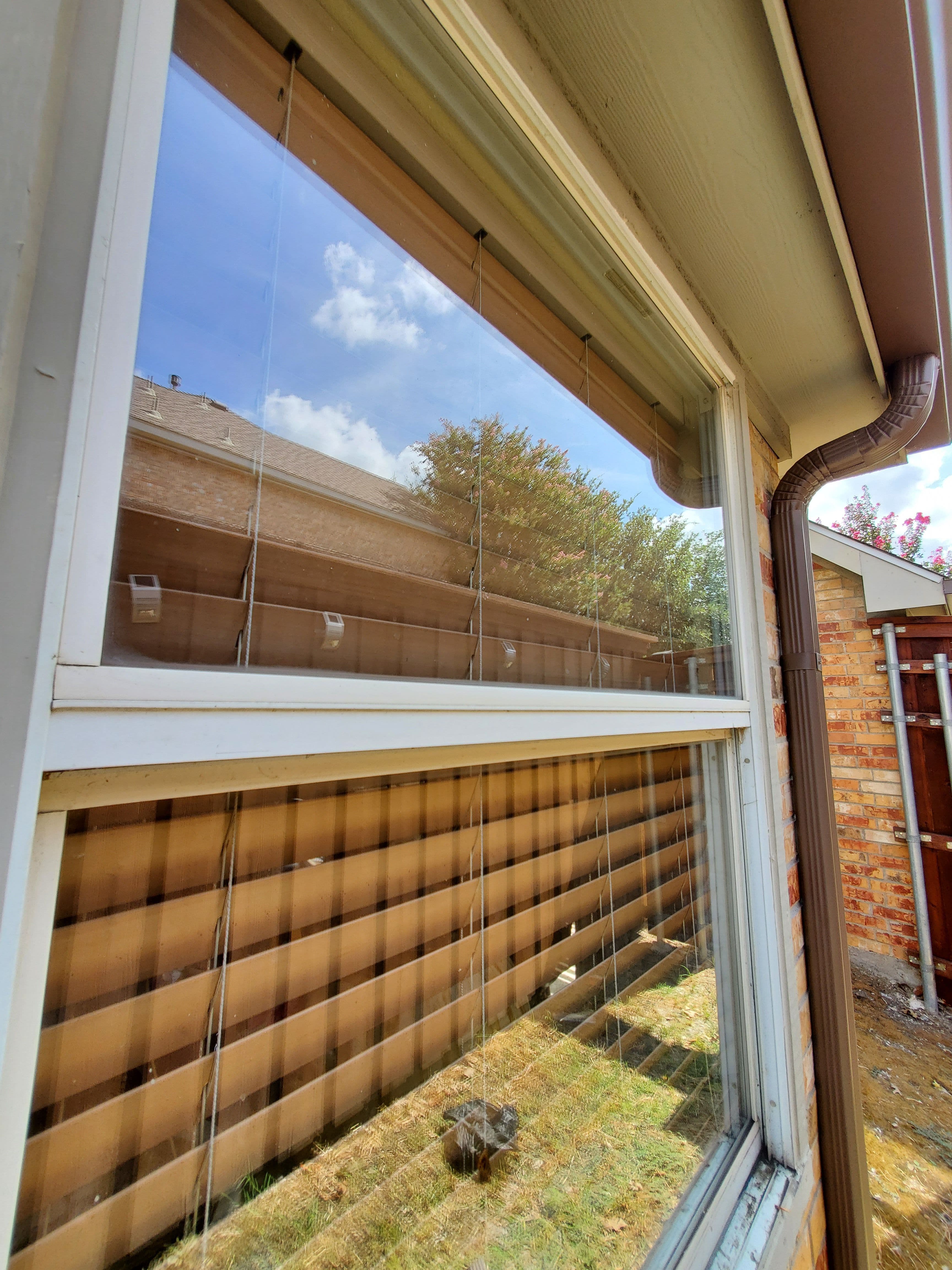 Close-up of window with blinds reflecting a sunny sky and nearby trees.