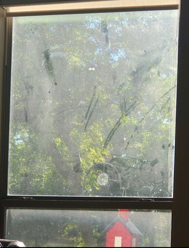 Dirty window with smudges, revealing a tree outside and a red house in the background.