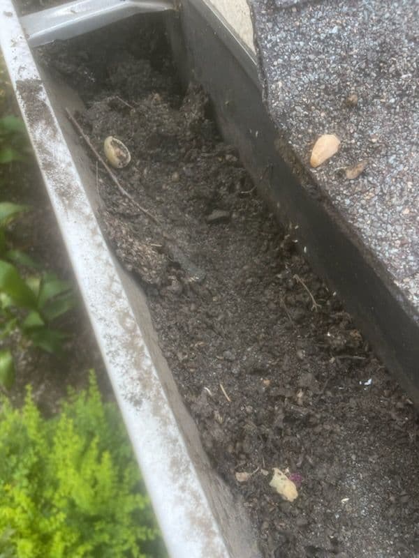 Gallery photos for Why Basic Gutter Guards Fall Short: Image #1