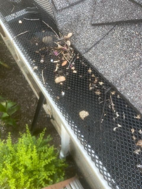 Gallery photos for Why Basic Gutter Guards Fall Short: Image #2