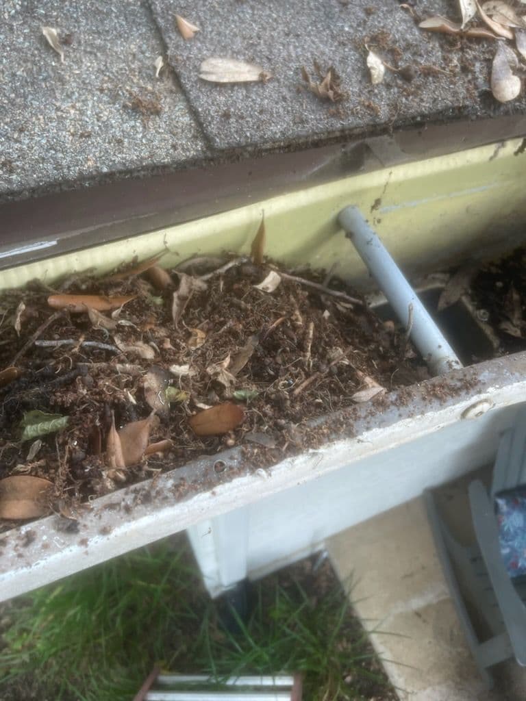 Effective Solutions for Clogged Gutters image