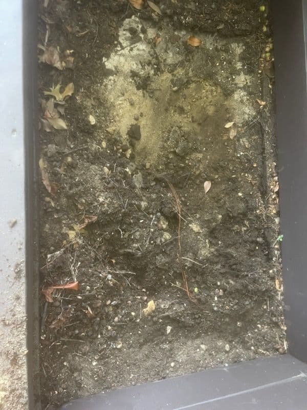 Expert French Drain Cleaning for Optimal Flow image